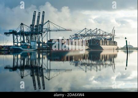 Southampton, Royaume-Uni, 10 novembre 2020. Des reflets étonnants des navires-conteneurs chargés de cargaison sur les quais de Southampton sont jetés sur les eaux encore matinales de l'essai de la rivière. Credit: Morten Watkins/Alamy Live News Banque D'Images