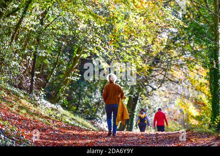 Arundel West Sussex Royaume-Uni 10 novembre - Walkers Profitez de la chaleur du soleil et de belles couleurs d'automne autour du parc Arundel dans West Sussex aujourd'hui que le Sud-est baigne dans des températures plus chaudes que la normale pour la période de l'année . : crédit Simon Dack / Alamy Live News Banque D'Images