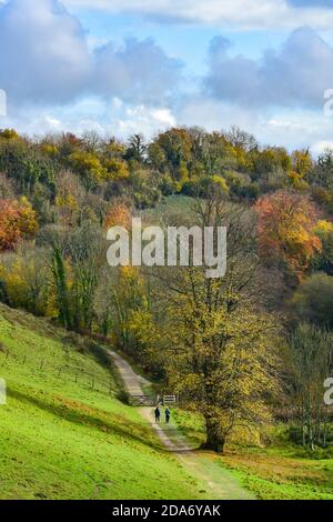 Arundel West Sussex Royaume-Uni 10 novembre - Walkers Profitez de la chaleur du soleil et de belles couleurs d'automne autour du parc Arundel dans West Sussex aujourd'hui que le Sud-est baigne dans des températures plus chaudes que la normale pour la période de l'année . : crédit Simon Dack / Alamy Live News Banque D'Images