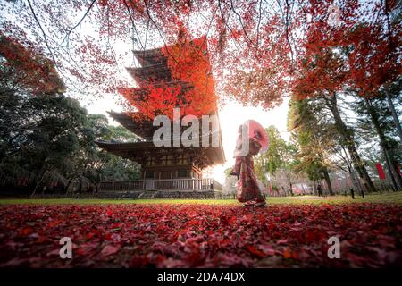 Jeune fille japonaise voyageur en robe kimino traditionnelle debout dans le temple de Digoji avec feuille d'érable rouge en automne à Kyoto, Japon. Tourisme au Japon Banque D'Images