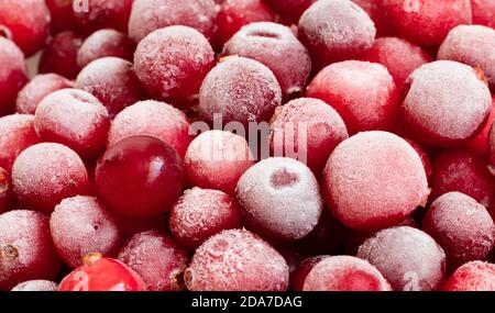 Fond de baies rouges surgelées. Canneberge au gros plan avec du givre. Vue latérale. Banque D'Images