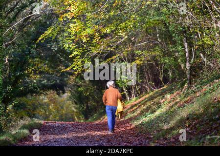 Arundel West Sussex Royaume-Uni 10 novembre - Walkers Profitez de la chaleur du soleil et de belles couleurs d'automne autour du parc Arundel dans West Sussex aujourd'hui que le Sud-est baigne dans des températures plus chaudes que la normale pour la période de l'année . : crédit Simon Dack / Alamy Live News Banque D'Images