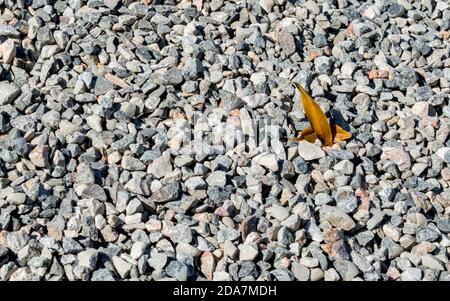 texture d'arrière-plan - gros plan de gravier multicolore avec deux petites feuilles d'automne dorées au milieu, sur un chantier de construction par une journée ensoleillée Banque D'Images