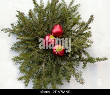 Boules de noël rouges sur branches d'épinette Banque D'Images