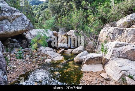 Suivre la rivière, est Fanebas trekking à Assemini, Sardaigne, Italie Banque D'Images