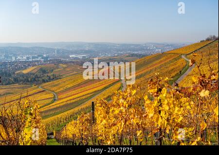 Vignobles entre Kappelberg et Rotenberg à Stuttgart - magnifique paysage en automne - vue aérienne sur la vallée du Neckar, Bade-Wurtemberg, G Banque D'Images