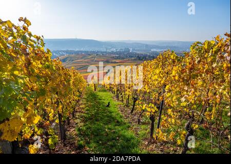 Vignobles entre Kappelberg et Rotenberg à Stuttgart - magnifique paysage en automne - vue aérienne sur la vallée du Neckar, Bade-Wurtemberg, G Banque D'Images