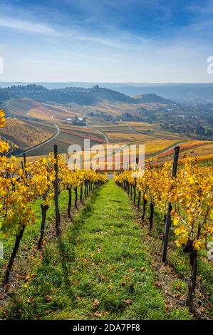 Vignobles entre Kappelberg et Rotenberg à Stuttgart - magnifique paysage en automne - vue aérienne sur la vallée du Neckar, Bade-Wurtemberg, G Banque D'Images