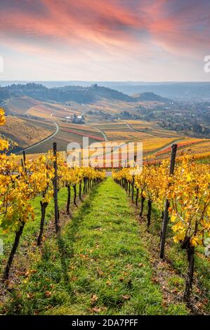 Vignobles entre Kappelberg et Rotenberg à Stuttgart - magnifique paysage en automne - vue aérienne sur la vallée du Neckar, Bade-Wurtemberg, G Banque D'Images