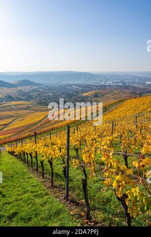 Vignobles entre Kappelberg et Rotenberg à Stuttgart - magnifique paysage en automne - vue aérienne sur la vallée du Neckar, Bade-Wurtemberg, G Banque D'Images