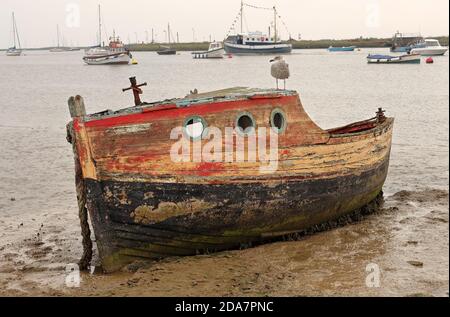 Épave du bateau sur un estuaire marécageux à Suffolk, au Royaume-Uni, avec un oiseau de mer perché sur le toit Banque D'Images