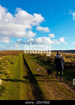 Une adolescente marchant sur un chien d'épagneul cocker sur Beeley Moor Dans le Derbyshire Peak District Angleterre Royaume-Uni Banque D'Images