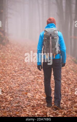 Homme avec sac à dos randonnée seule dans une forêt en automne ou hiver - mise au point sélective Banque D'Images