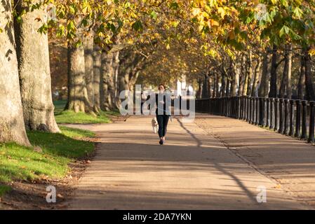 Jogger avec chien courant dans Green Park par Constitution Hill avec couleurs d'automne à Londres, Royaume-Uni. Exercice pendant le verrouillage de COVID 19 Banque D'Images