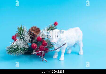 Boeuf blanc et branche d'arbre de Noël sur un fond bleu, un taureau comme un symbole de l'année à venir 2021 selon le calendrier chinois Banque D'Images