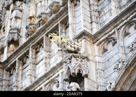 Gargoyle figure à l'hôtel de ville médiéval de Bruxelles, Belgique Banque D'Images