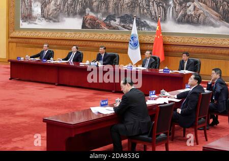 Pékin, Chine. 10 novembre 2020. Le président chinois Xi Jinping assiste à la 20e réunion du Conseil des chefs d'État de l'Organisation de coopération de Shanghai (OCS) par liaison vidéo à Beijing, capitale de la Chine, le 10 novembre 2020. Crédit : Ding Lin/Xinhua/Alay Live News Banque D'Images