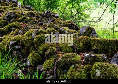 Grandes pierres couvertes de mousse verte sur la route du fort Solotnik, sur la montagne de Tara. Banque D'Images