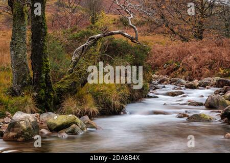 Scale Beck, un ruisseau de montagne à écoulement rapide qui coule dans Crummock Water, Lake District National Park, Cumbria, Royaume-Uni Banque D'Images