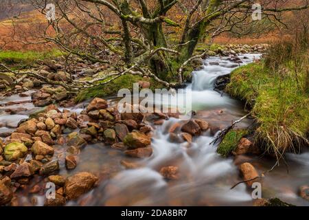 Scale Beck, un ruisseau de montagne à écoulement rapide qui coule dans Crummock Water, Lake District National Park, Cumbria, Royaume-Uni Banque D'Images