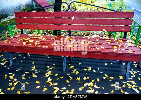 banc en bois brun parsemé de feuilles d'automne jaunes Banque D'Images