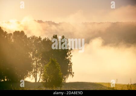 le soleil se lève et illumine la forêt avec un étang dans le brouillard Banque D'Images