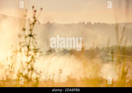 le soleil se lève et illumine la forêt avec un étang dans le brouillard Banque D'Images