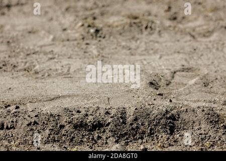 Plan à faible angle d'une surface de sable et de gravier, de sable sec ou similaire à une scène désertique, lumière du jour vive montrant de la poussière ou de la saleté Banque D'Images