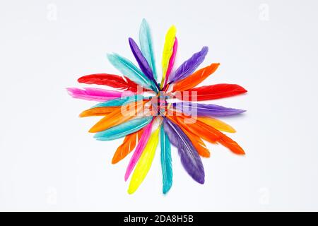 Plumes colorées sur fond blanc, formant un cercle ou une forme de soleil whera chaque plume agit comme un rayon de soleil Banque D'Images