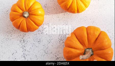 Composition d'automne de trois citrouilles orange Banque D'Images