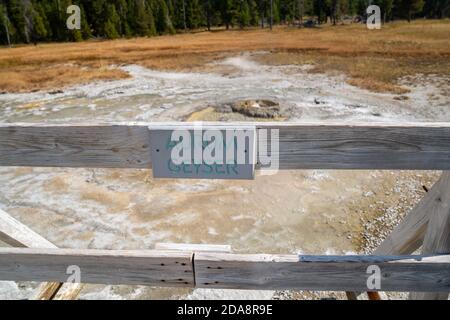 Aurum Geyser, une source thermale chaude dans le bassin supérieur de Geyser dans le parc national de Yellowstone Banque D'Images