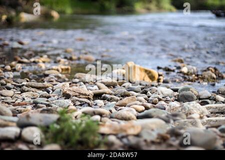 Beaucoup de petites pierres et galets sur la côte de la rivière. Faible profondeur de champ, arrière-plan flou. Banque D'Images