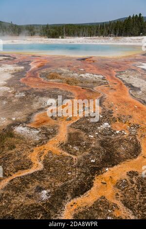 Eau chaude avec un tapis de drains thermophiles colorés De la piscine arc-en-ciel comme la vapeur s'élève dans le noir Bassin de sable de Yellowstone National par Banque D'Images