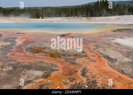 Eau chaude avec un tapis de drains thermophiles colorés De la piscine arc-en-ciel comme la vapeur s'élève dans le noir Bassin de sable de Yellowstone National par Banque D'Images