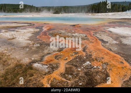 Eau chaude avec un tapis de drains thermophiles colorés De la piscine arc-en-ciel comme la vapeur s'élève dans le noir Bassin de sable de Yellowstone National par Banque D'Images