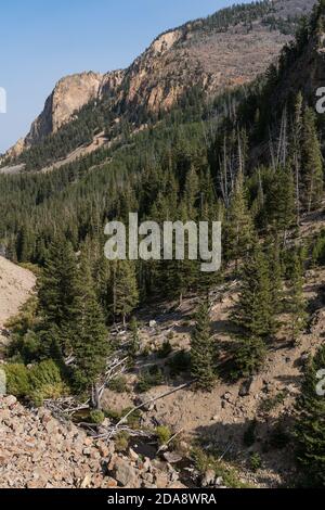 Glen Creek traverse le Golden Gate Canyon dans le parc national de Yellowstone, Wyoming, aux États-Unis. Banque D'Images