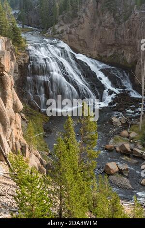 Gibbon Falls sur la rivière Gibbon descend à environ 84 pieds dans le parc national de Yellowstone dans le Wyoming, États-Unis. Banque D'Images