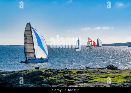 Voiliers au large de Cattle point, Oak Bay, Colombie-Britannique, Canada Banque D'Images