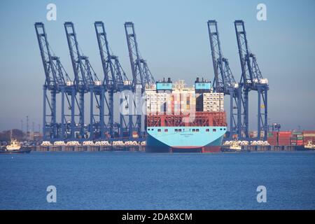 Le navire à conteneurs Maribo Maersk accostait au port de Felixstowe, Suffolk, Royaume-Uni. Banque D'Images