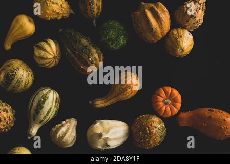 Beaucoup de différents types de citrouilles gros plan, foyer sélectif Banque D'Images