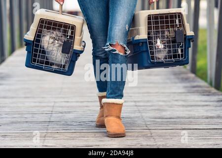 Femme transportant son chat dans une cage spéciale en plastique ou transporteur de voyage d'animal de compagnie à une clinique vétérinaire Banque D'Images