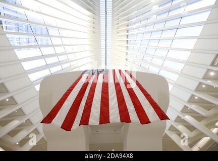 New York, États-Unis. 10 novembre 2020. L'Administration portuaire commémore la Journée des anciens combattants avec des drapeaux américains géants au centre de transport d'Oculus, sur le site du World Trade Center à New York, le mardi 10 novembre 2020. Les nouvelles lumières à DEL de 13,000 réduiront les émissions de carbone de 4,500 tonnes métriques par an et permettront de changer les couleurs des événements commémoratifs comme photo de la fête des anciens combattants par John Angelillo/UPI crédit: UPI/Alamy Live News Banque D'Images