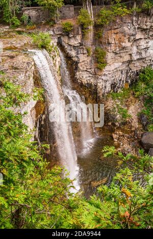 Zone de conservation des chutes Eugenia Flesherton Owen Sound Ontario Canada in été Banque D'Images