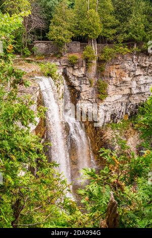 Zone de conservation des chutes Eugenia Flesherton Owen Sound Ontario Canada in été Banque D'Images