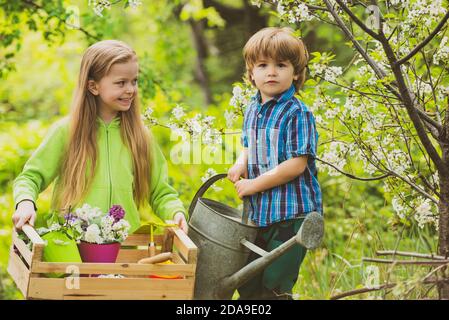 Outils de jardin, arrosoir pour enfants en plein air. Activité de jardinage avec petit enfant et famille. Enfants plantant des semis en pot dans le jardin domestique Banque D'Images