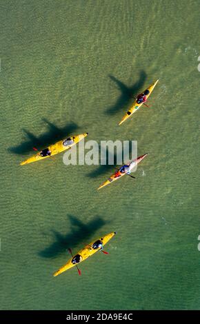 Kayakistes dans le parc national d'Abel Tasman, Nouvelle-Zélande Banque D'Images