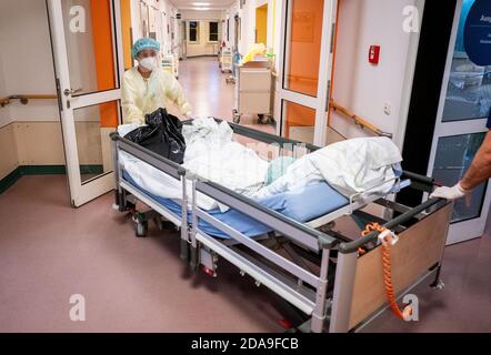 Berlin, Allemagne. 10 novembre 2020. Les infirmières poussent un patient dans un couloir en début de matinée au quartier Covid-19 de l'hôpital Bethel de Berlin. Ce service traite les patients qui ont fait un test de corona-positif et qui n'ont pas besoin de respiration ou montrent une forte suspicion de corona. Credit: Kay Nietfeld/dpa/Alay Live News Banque D'Images