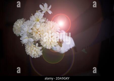 Deuil tenant des fleurs aux funérailles Banque D'Images