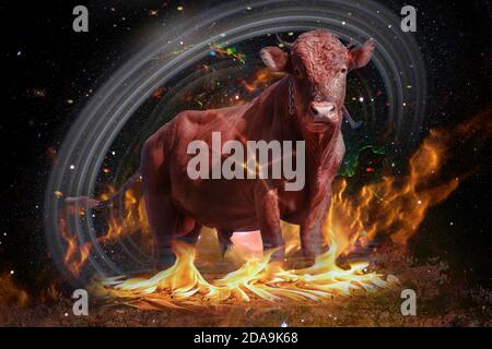 Symbole de taureau au Taureau du zodiaque et du concept d'horoscope. Groupe d'étoiles dans la constellation le Bull Éléments de cette image fournis par la NASA. Banque D'Images