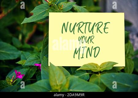 Nourrissez votre esprit citation motivationnelle écrite sur papier sur fond vert de jardin. L'effet des pensées sur le concept de l'esprit et du corps. Banque D'Images